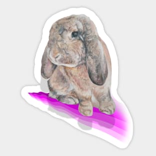 Gorgeous painting of a French lop bunny! Sticker